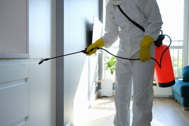 Best Residential Mold Removal  in Shenandoah Junction, WV